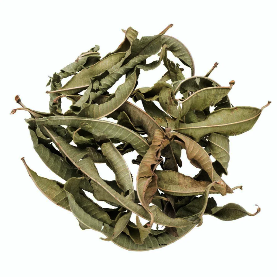 Lemon Verbena